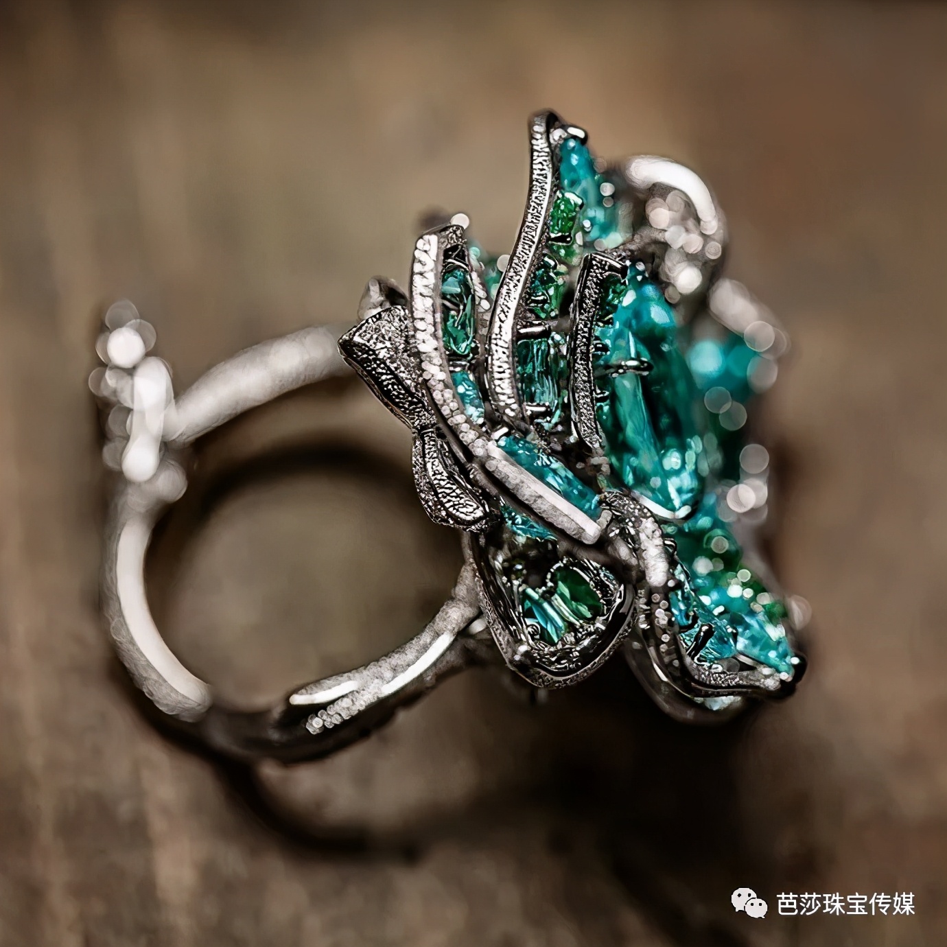 大牌高珠扎堆“上新”，外行看热闹、内行看什么？