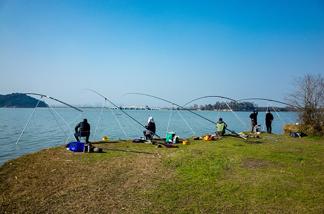 鱼饵拉丝粉怎么调,鱼饵加拉丝粉后影响鱼饵的效果吗