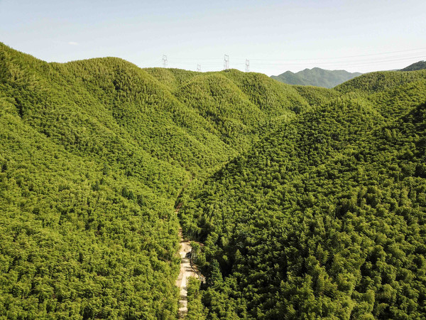 江浙沪自驾游亲子乐园推荐,江浙国内小众海岛亲子游