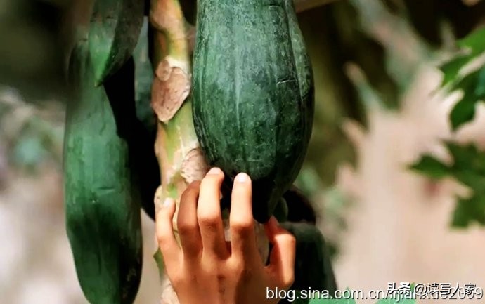 李建学,李建学最新散文