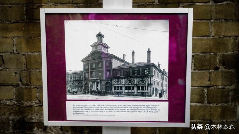 加拿大多伦多生活日记,加拿大多伦多留学生活纪实