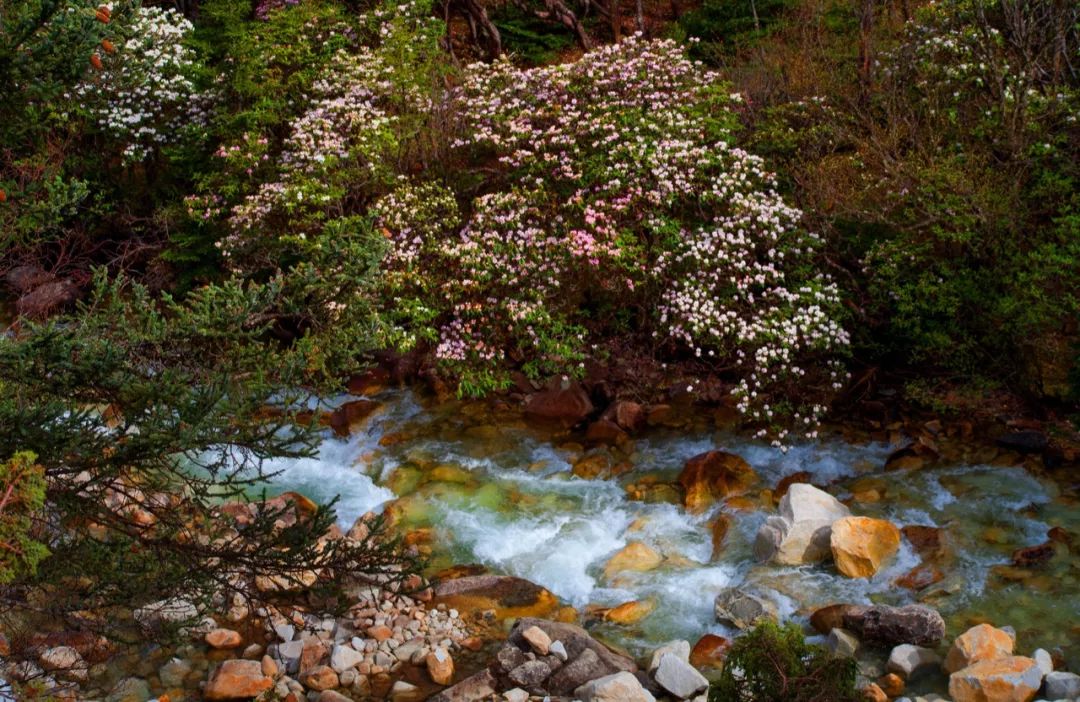木格措旅游冬季攻略,木格措7月1日免门票否