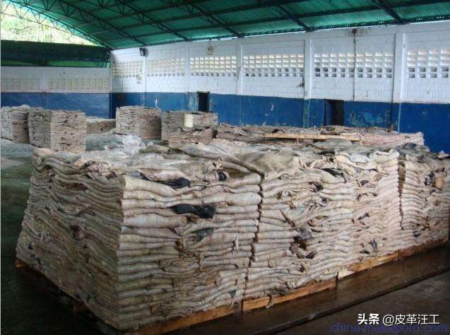 进口牛皮是什么意思,进口头层牛皮是什么皮