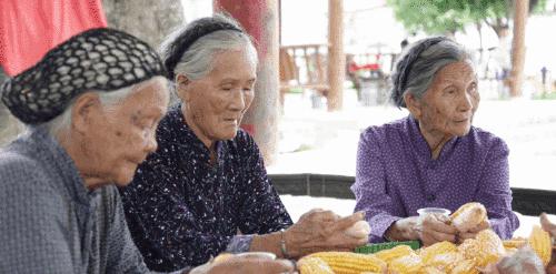 探秘广西巴马长寿之旅,巴马旅游探索巴马的奇妙之旅