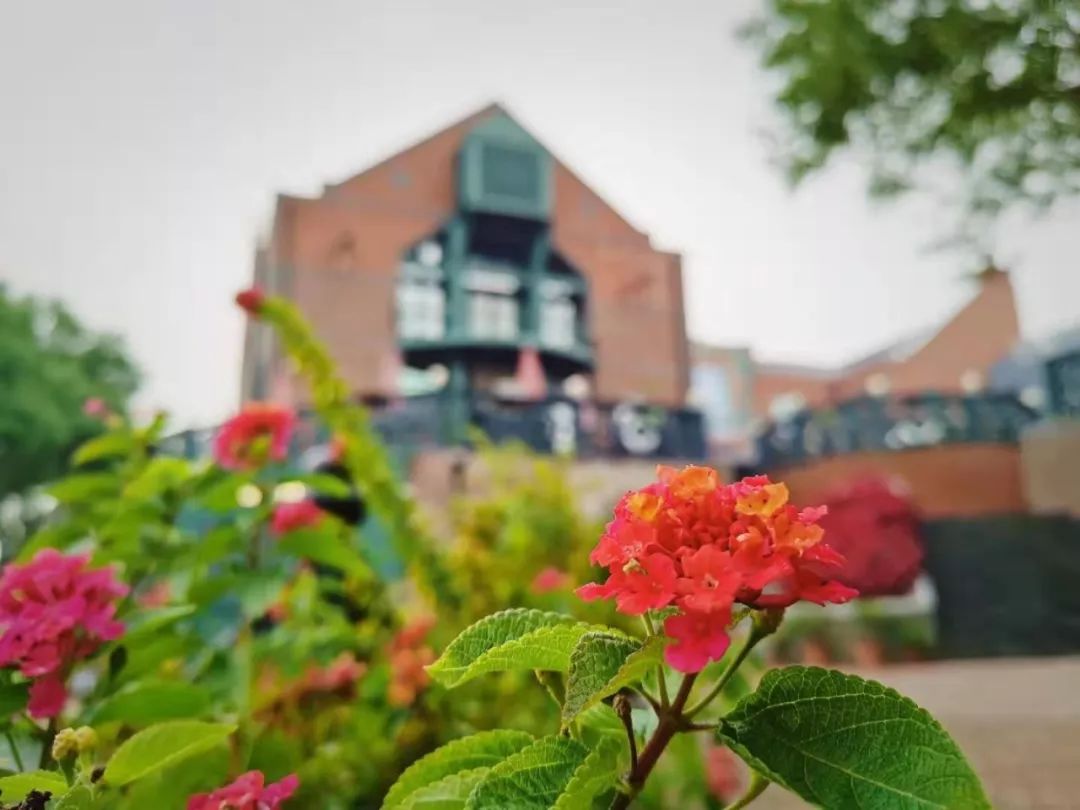 泰晤士小镇怎么去有啥好玩的,泰晤士小镇怎么拍