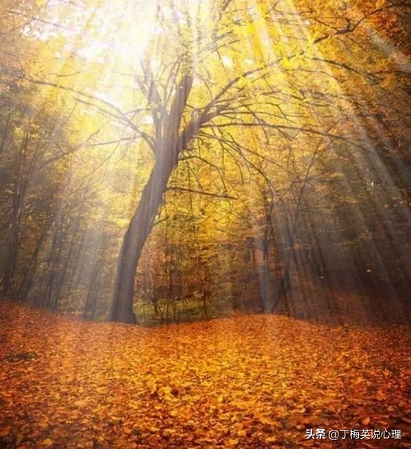 爱孩子要爱在心里,爱孩子怎么教育孩子