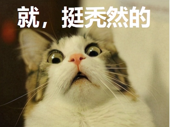 激动哭…科学家找到压力致秃的真相,头秃的你有救了!