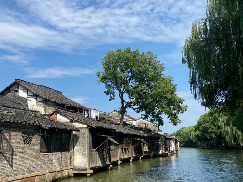 浪花之歌视频,浪花之歌全曲