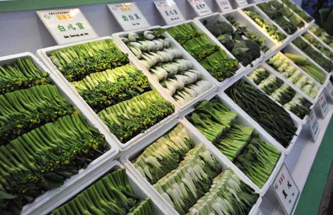 家庭加工致富小机器,10个家庭加工致富项目有哪些