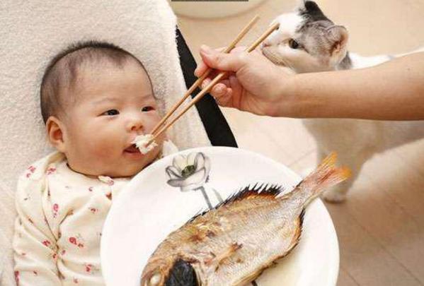 孩子吃鱼的好处,孩子吃鱼真的聪明吗