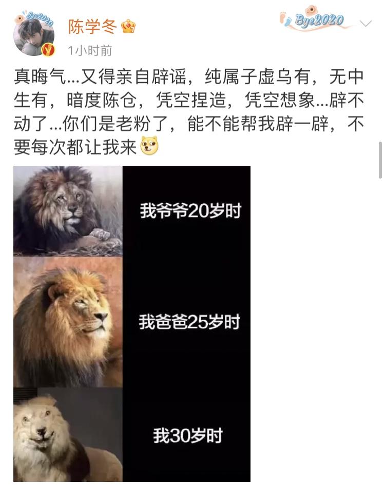 娱乐圈热点点评,娱乐热点点评