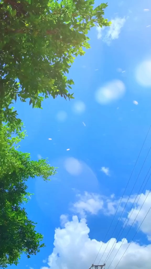 手机壁纸高清全屏2021最好风景,漂亮迷人美女风景高清壁纸