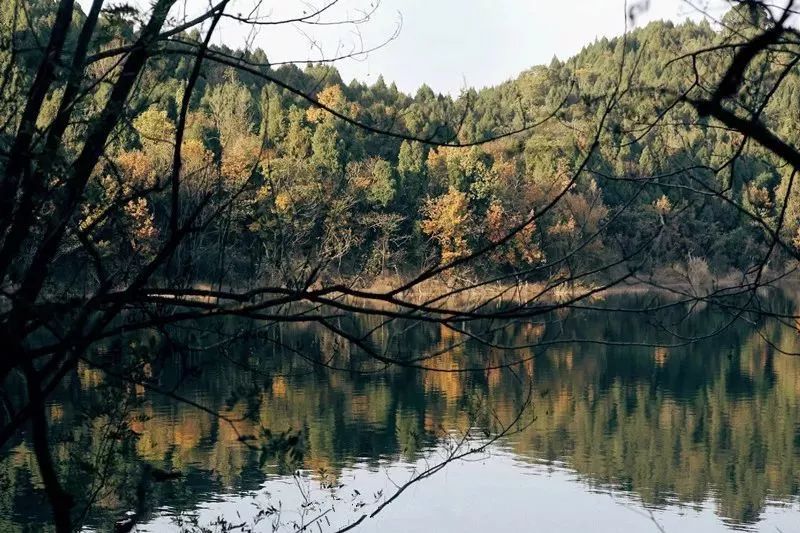 不当环球小姐，她跑到深山，种菜、调香，过上佛系人生