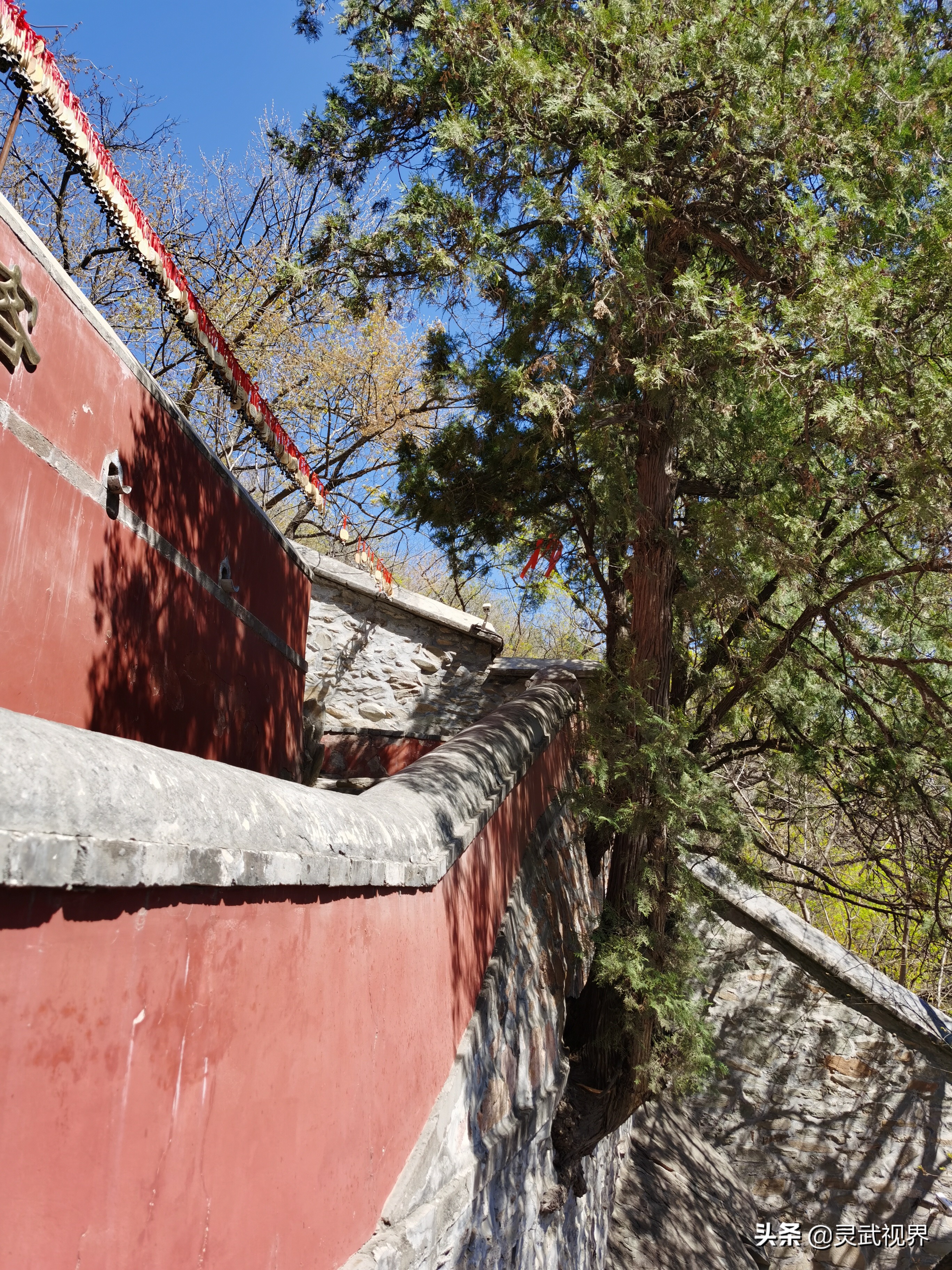 带你看看不一样的装饰,带你看看不一样的家