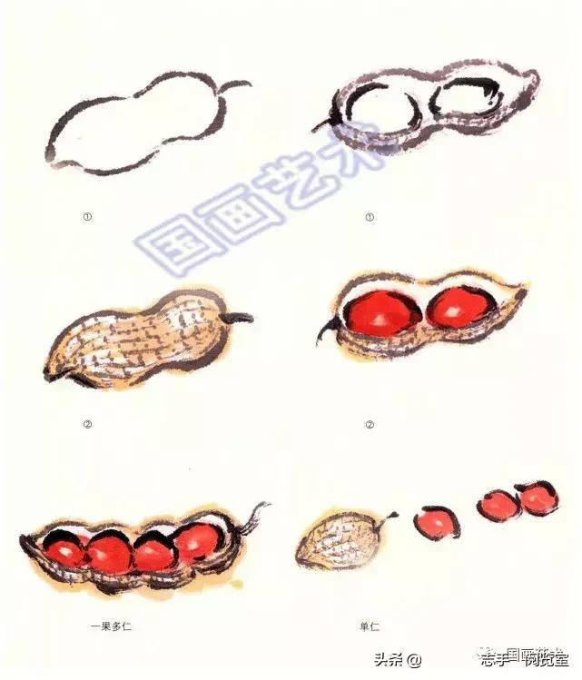 八种常见蔬菜画法,各种蔬菜画法