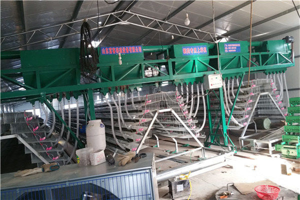 38岁河南小伙回乡创业,农村90后小伙回来创业