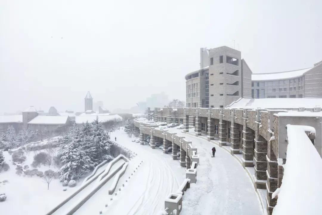 辽宁省民办大学（二）大连东软信息学院