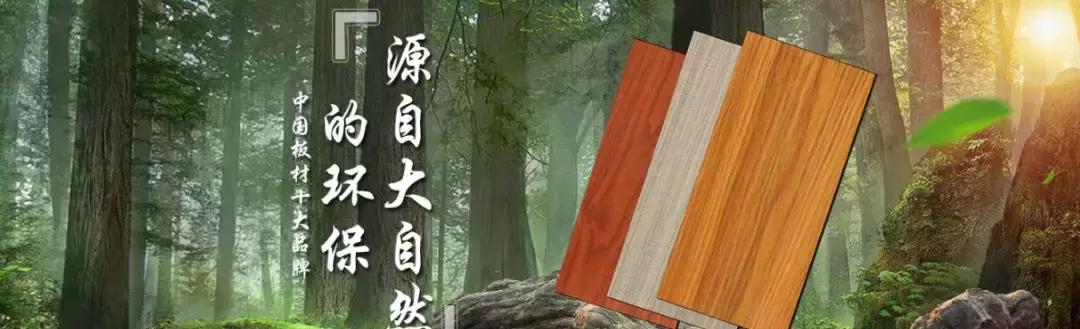 大王椰板材与莫干山哪个比较好,大王椰莫干山兔宝宝哪个性价比高