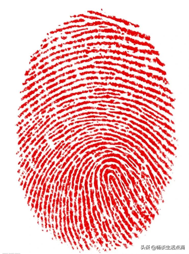 一螺穷二螺富三螺真实吗,三螺四螺卖豆腐什么意思