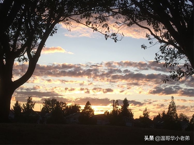 加拿大_WestRichmond西列治文社区夏秋