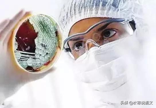 说疫字的故事,关于疫病说说