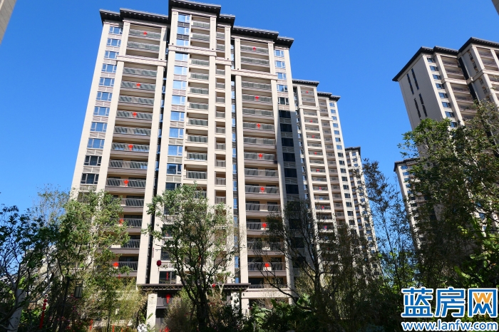 龙岩蓝房最新消息,蓝房探盘