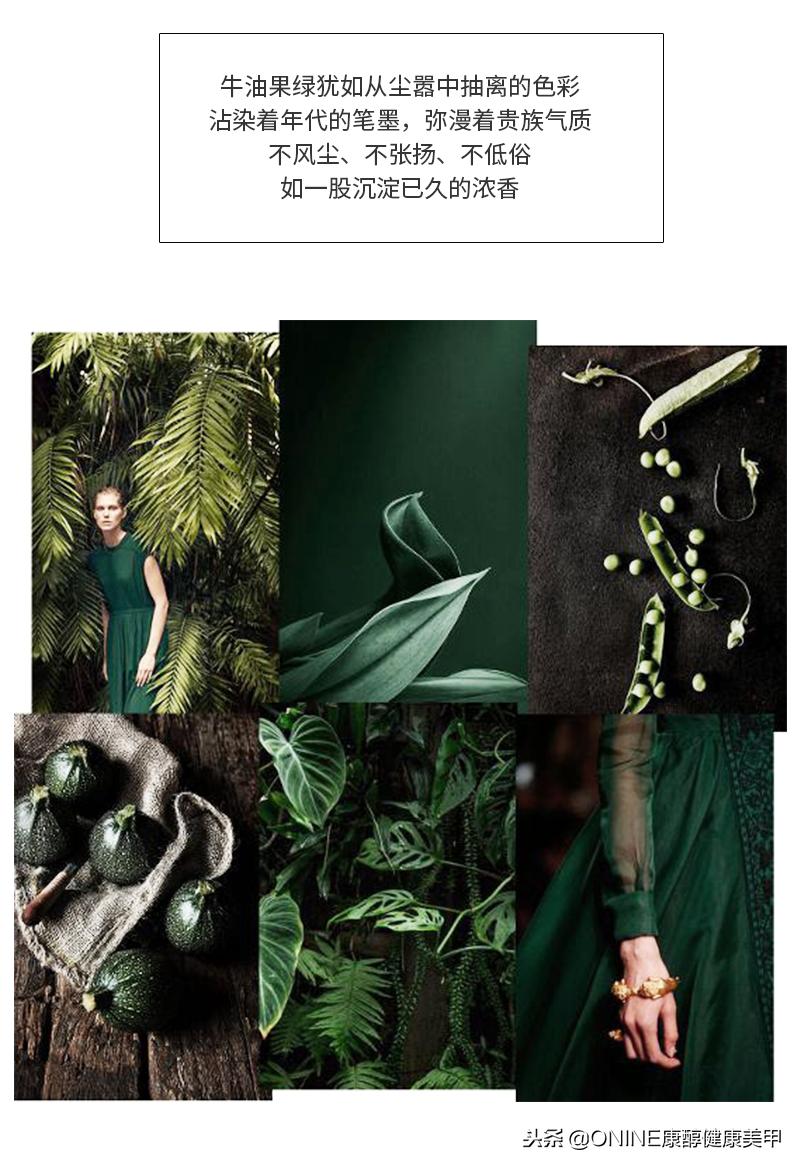 康醇除味,康醇纯粮