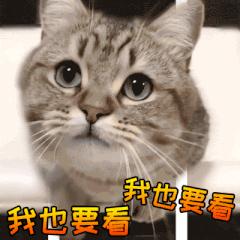 华为手机相册照片误删怎么恢复,怎么恢复华为手机被误删相册视频