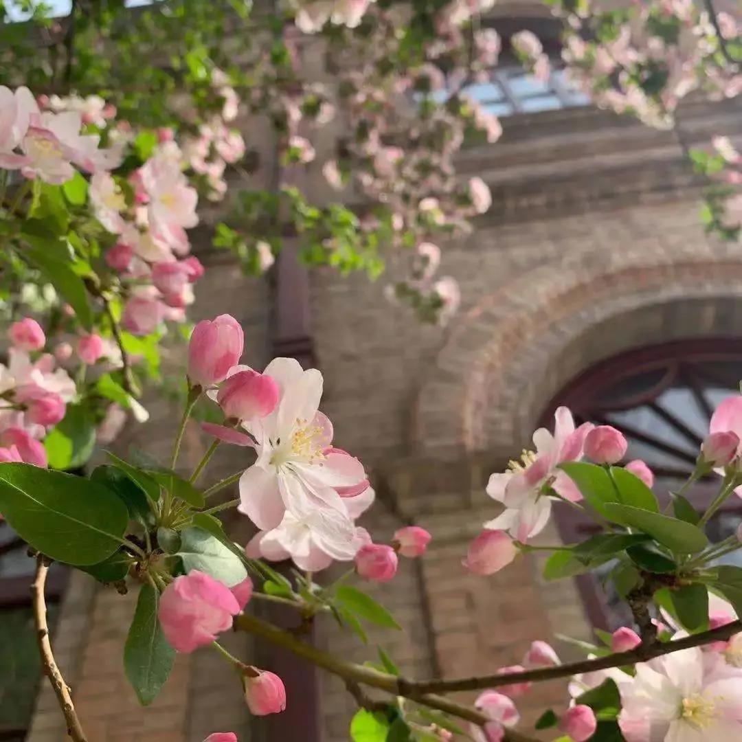 天津南开中学是中国最牛中学,天津南开中学分流
