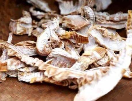 新鲜小竹笋五花肉,五花肉烧竹笋怎么做好吃又简单