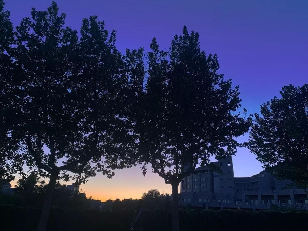 辽宁省民办大学（二）大连东软信息学院