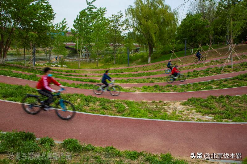 带宠物遛娃好去处,遛娃遛狗一起来