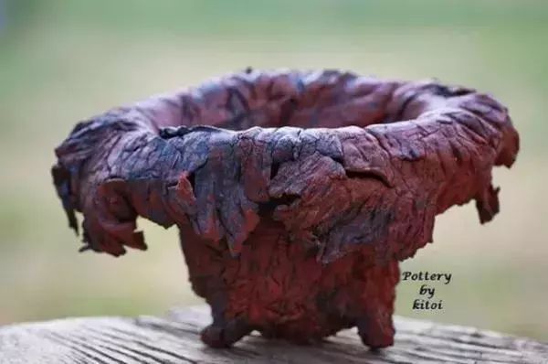 大叔养多肉20年，一片叶子上万块，盆盆都快成精了！