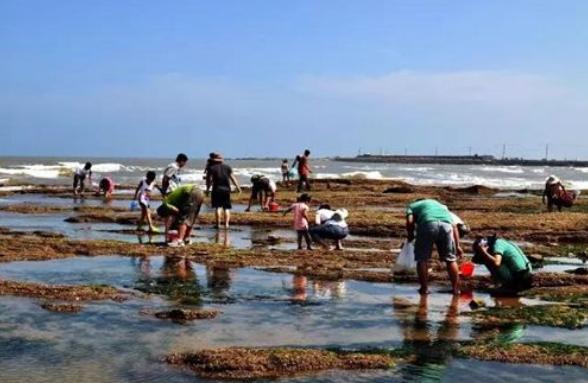 海贝海鲜干货,海货干货吃法