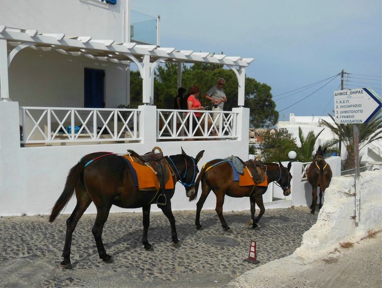 希腊圣托里尼洞穴蜜月酒店,圣托里尼浪漫旅行