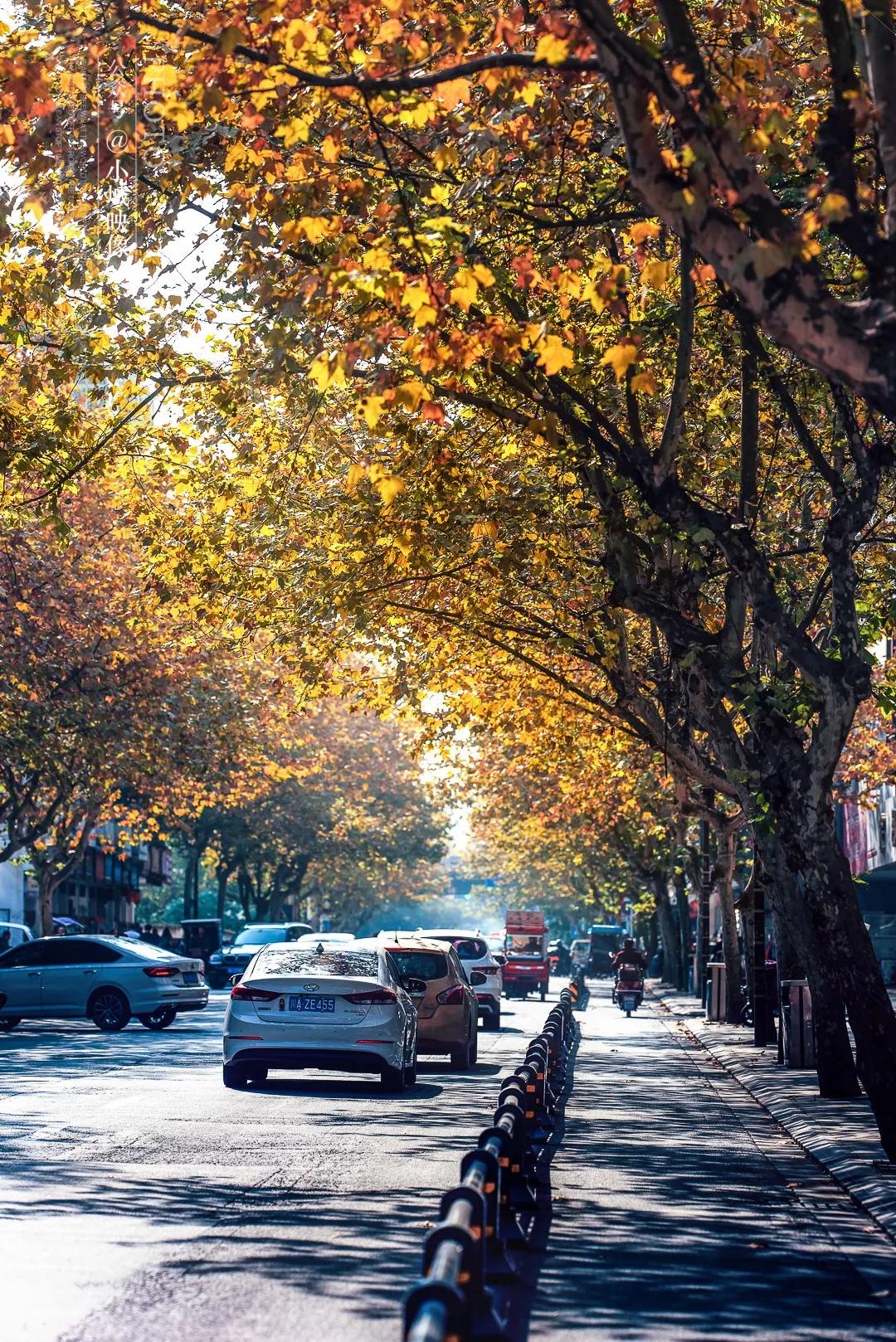 郫县是怎么发展起来的,郫县区为什么这么出名