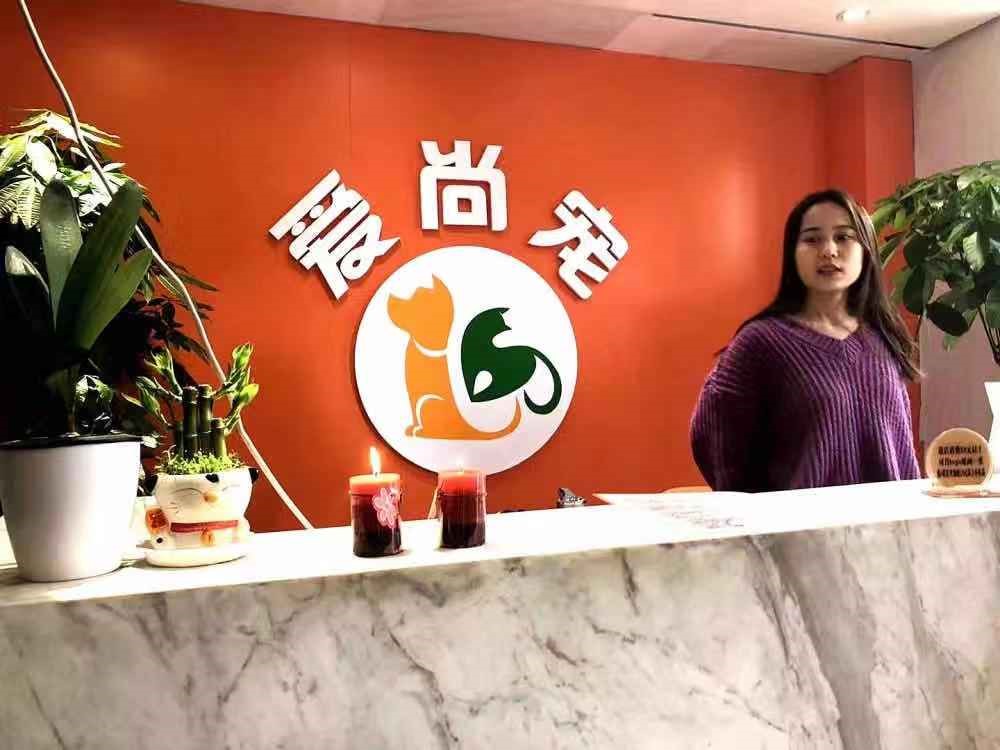 宠物行业比较适合创业的项目,宠物行业兴起加盟宠物店前景如何