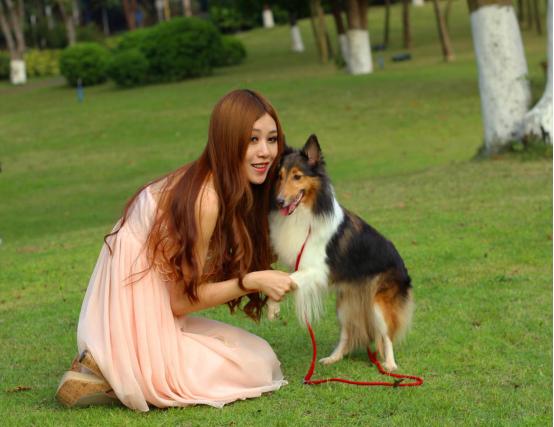 被狗咬伤打疫苗10年后就没事了吗,被狗咬伤打了疫苗还会有潜伏期吗