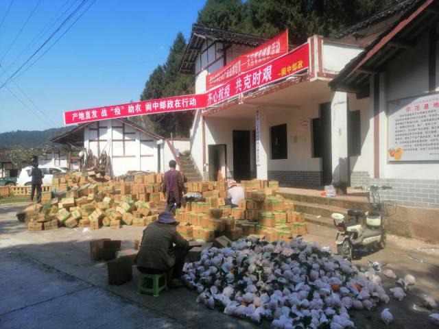一见青心店铺,一见青心茶叶