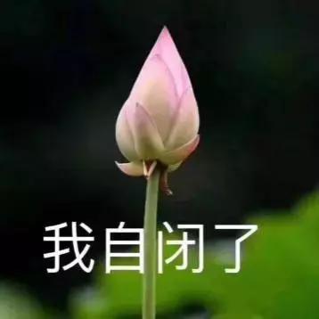 后人对独孤皇后的总结,独孤皇后伽罗开皇之治
