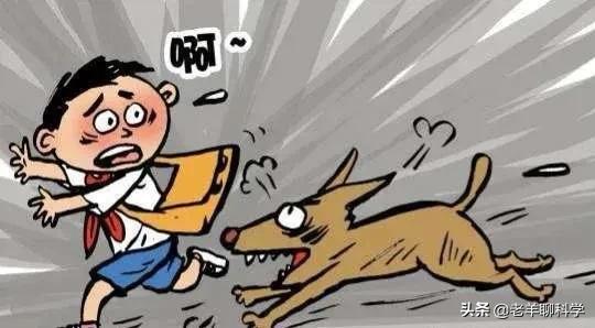恶犬咬人被反杀集锦解气,恶犬咬人被一招制服