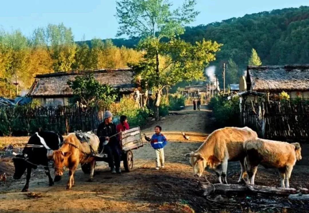 老话“不怕癞蛤蟆进家，就怕3树立门头”，啥意思？