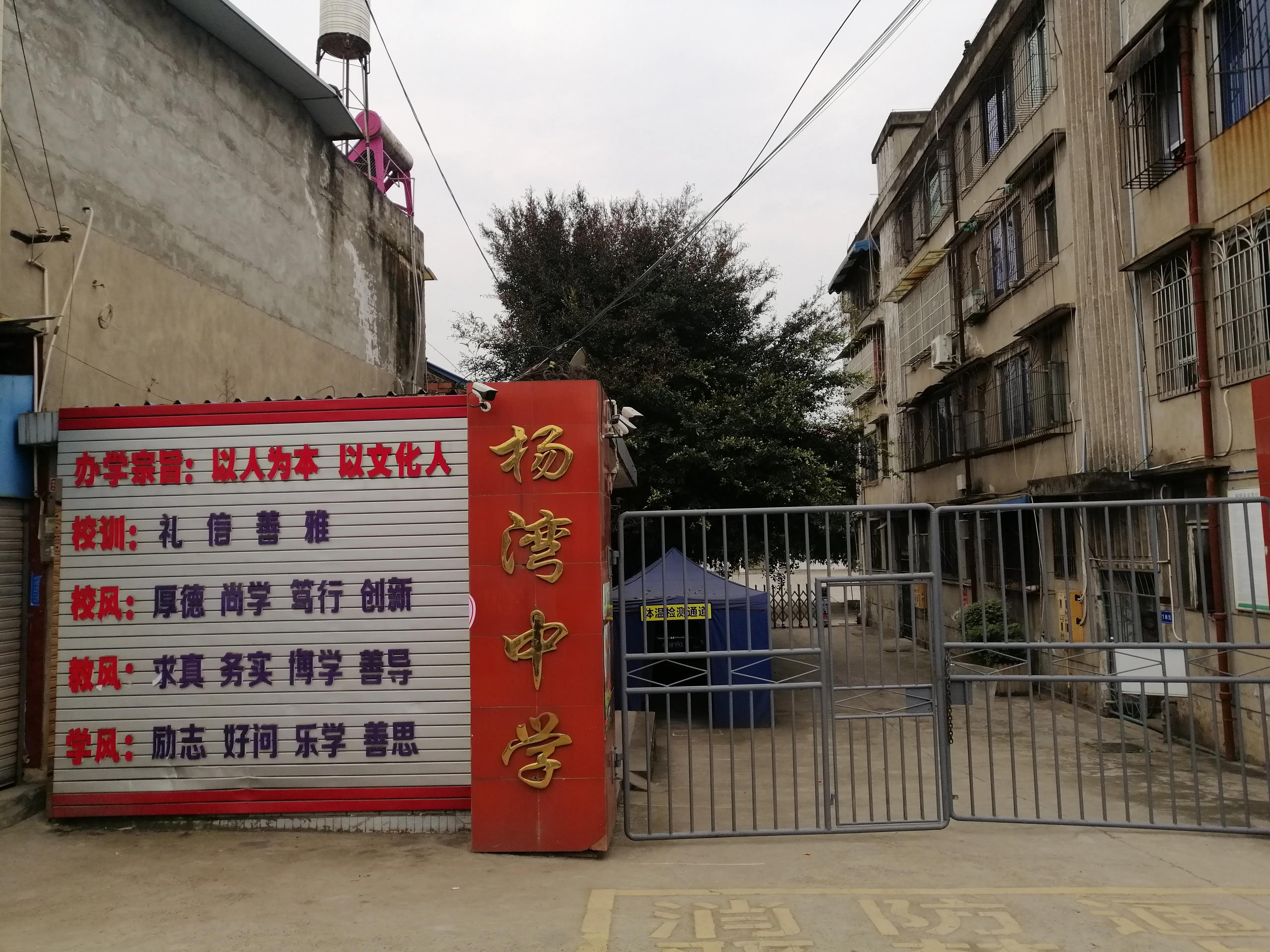 乐山杨湾乡纳入城中心了吗,乐山杨湾乡未来规划