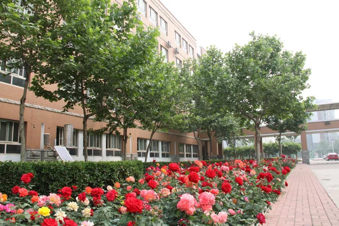 天津市41中学高中好吗,天津市所有普通高级中学排名