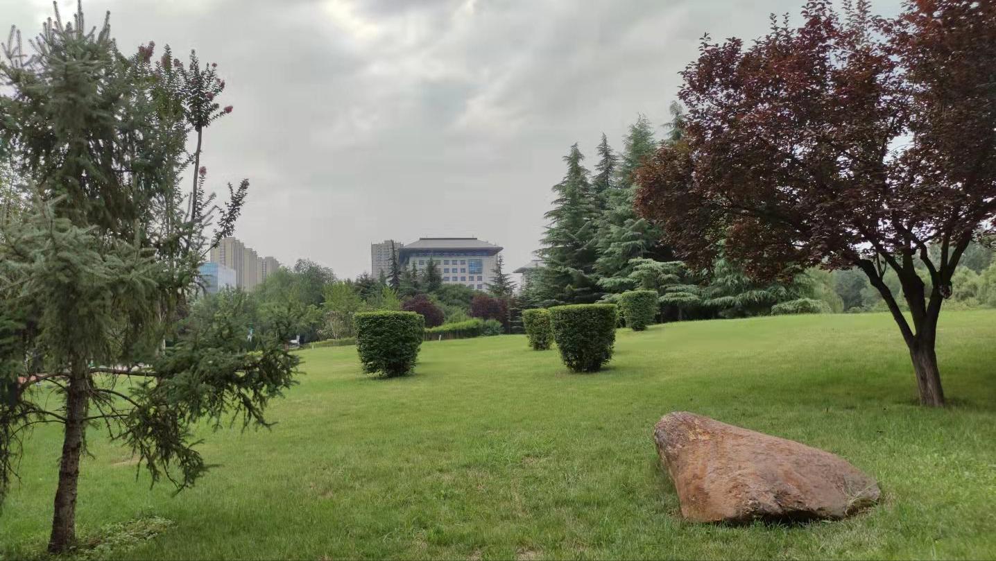 新华字典现代汉语词典,新华字典和现代汉语词典的区别