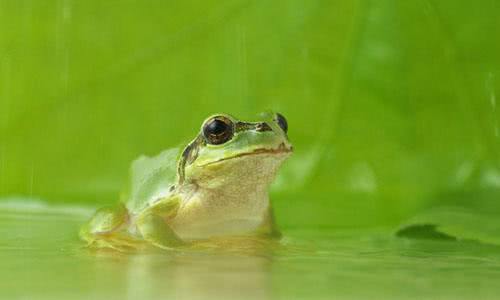 新几内亚岛世界地图,新几内亚在地球的哪里