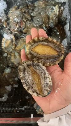 便宜的农副产品干货,冷门的农副产品