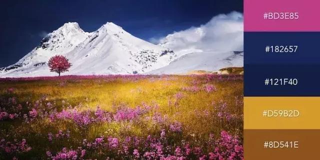 999张图片视频的卡点模板,服装设计素材收集与整理