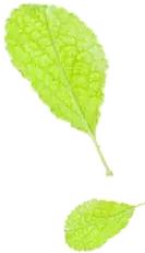 怎样茶宠越养越漂亮,怎样饲养茶宠