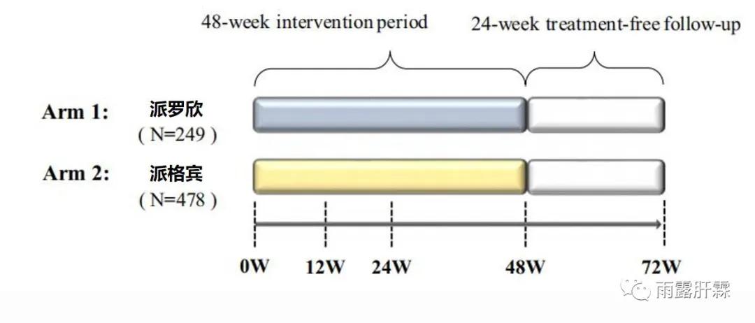 hbvrna定量检测报告,hbvrna检测阴性